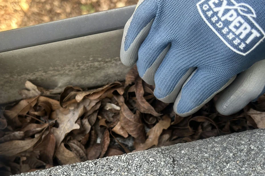 Wesley Chapel Gutter Cleaning