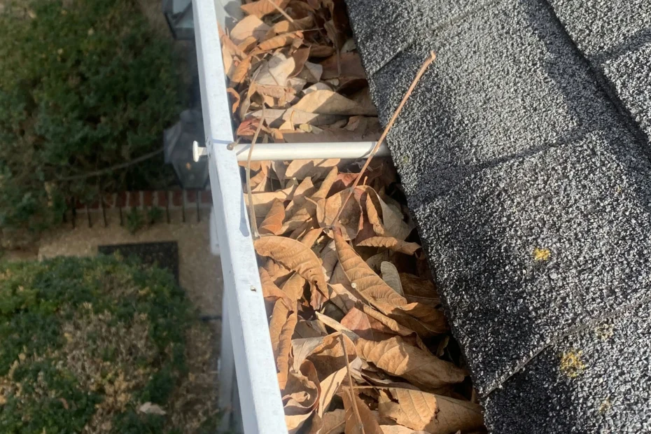 Wesley Chapel Gutter Cleaning