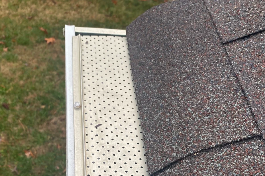 Wesley Chapel Gutter Cleaning