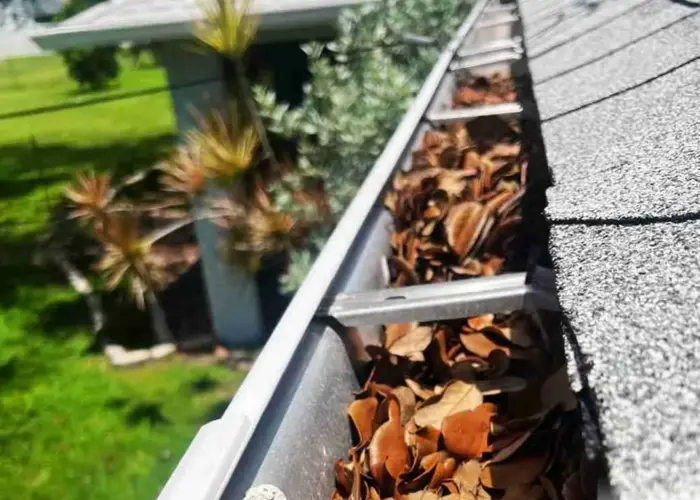 Wesley Chapel gutter cleaning home page